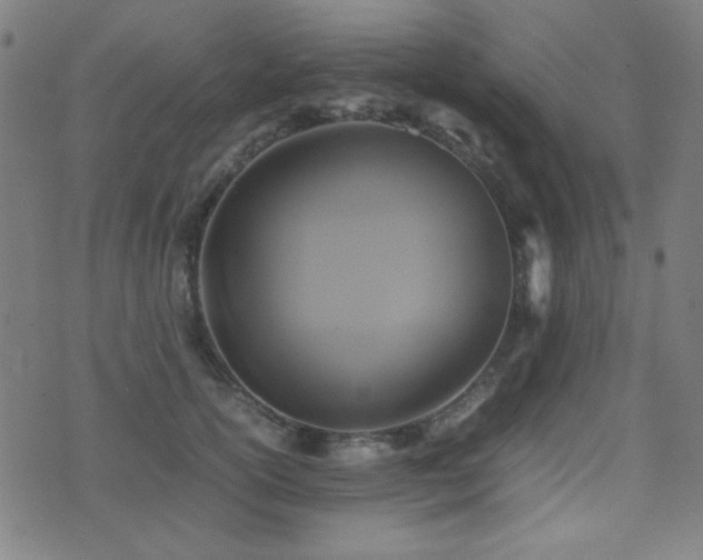 X0000075380754200609081204