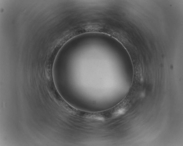 X0000075380755200609081204