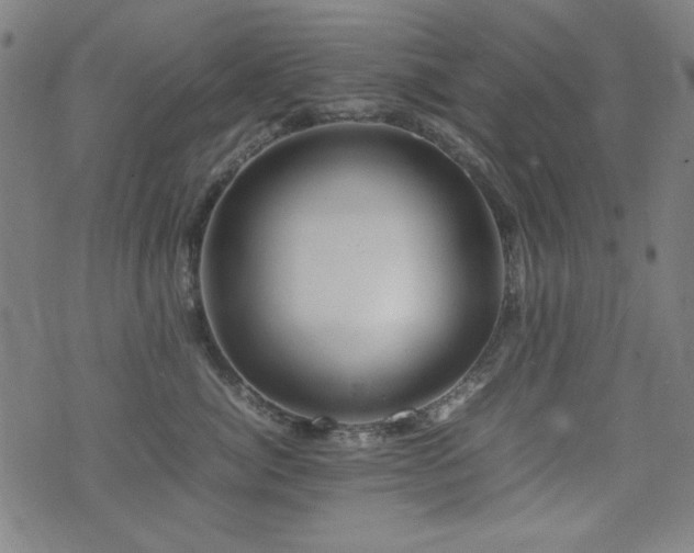 X0000075380764200609081204