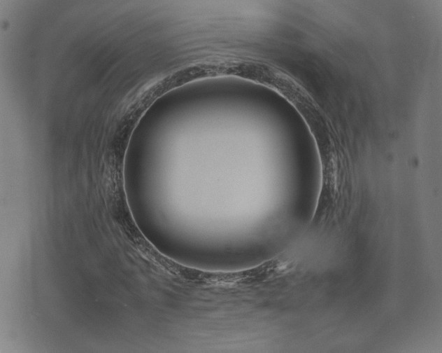 X0000075380773200609081204