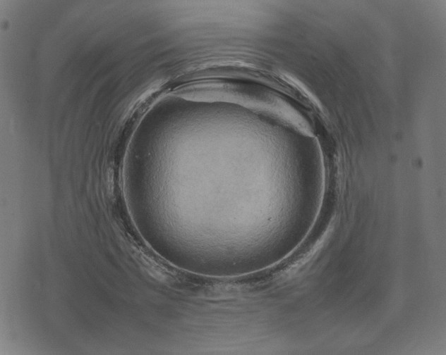 X0000075380777200609081204