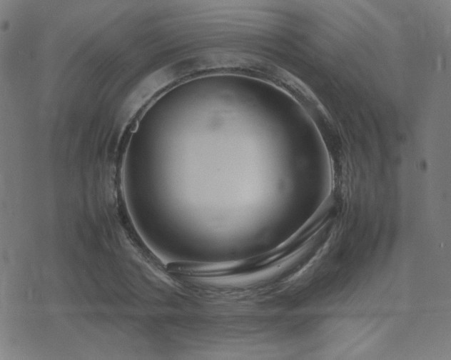 X0000075380786200609081203