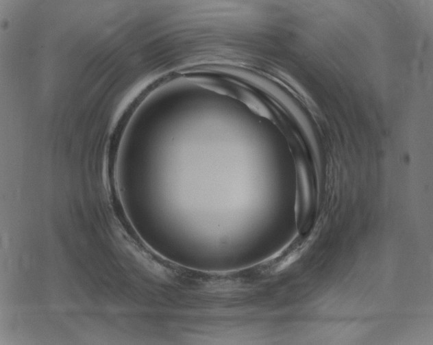 X0000075380788200609081203