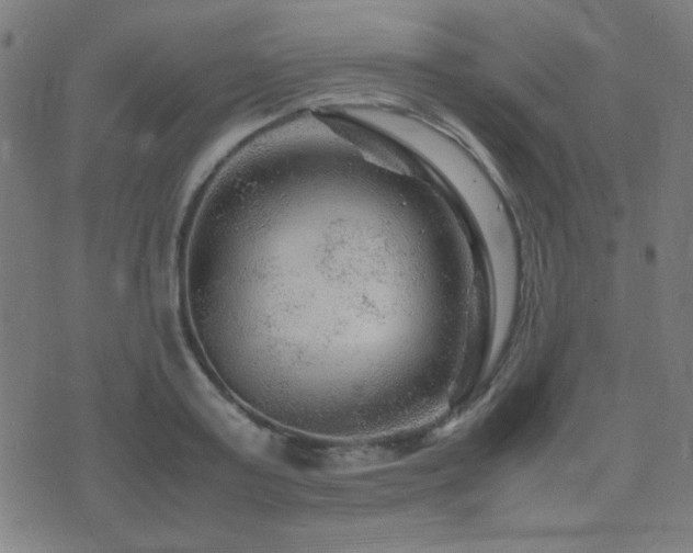 X0000075380795200609081203