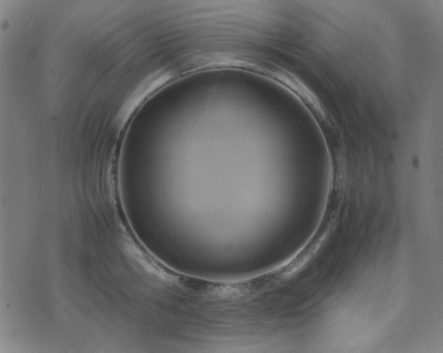 X0000075380806200609081203