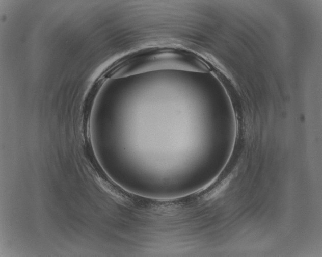 X0000075380830200609081202