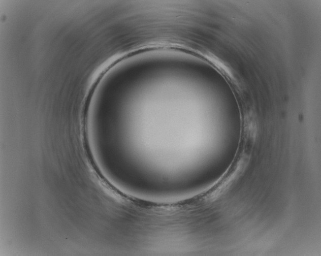 X0000075380854200609081203
