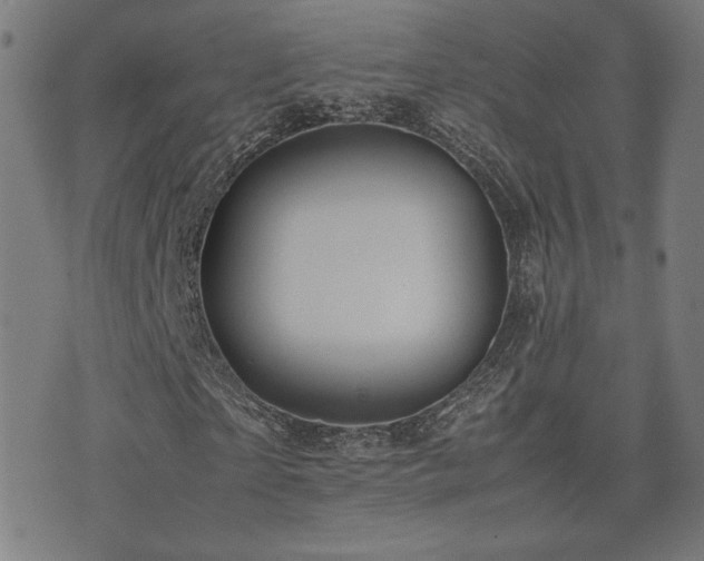 X0000075380865200609081202