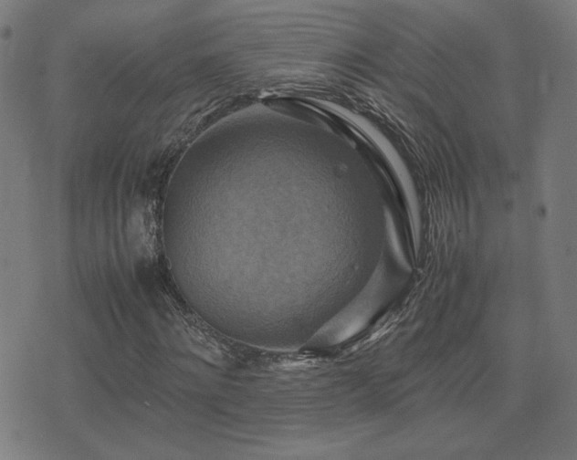 X0000075380868200609081202