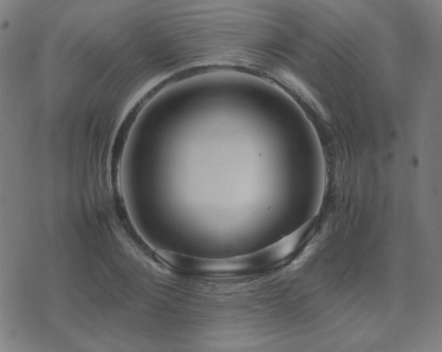 X0000075380884200609081202