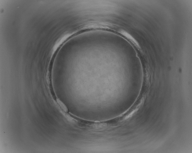 X0000075380893200609081202