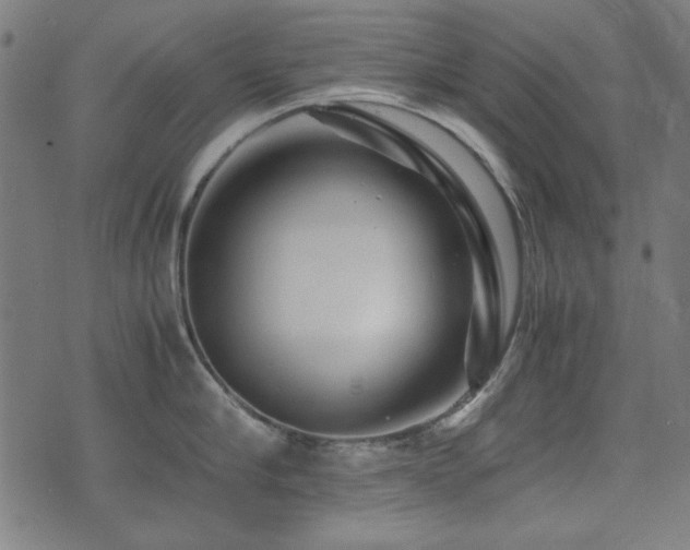 X0000075380910200609081201