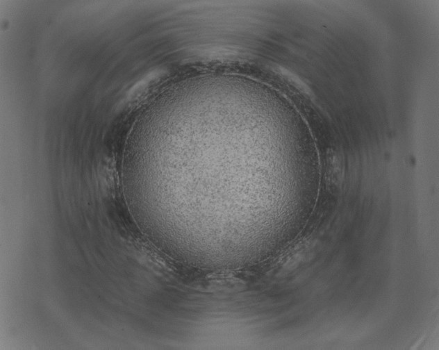 X0000075380918200609081201