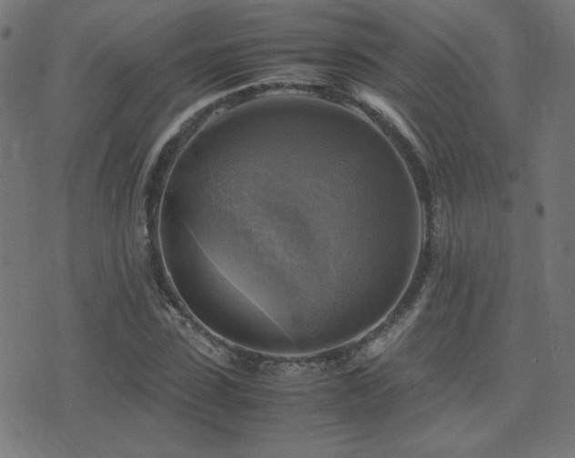 X0000075380923200609081201