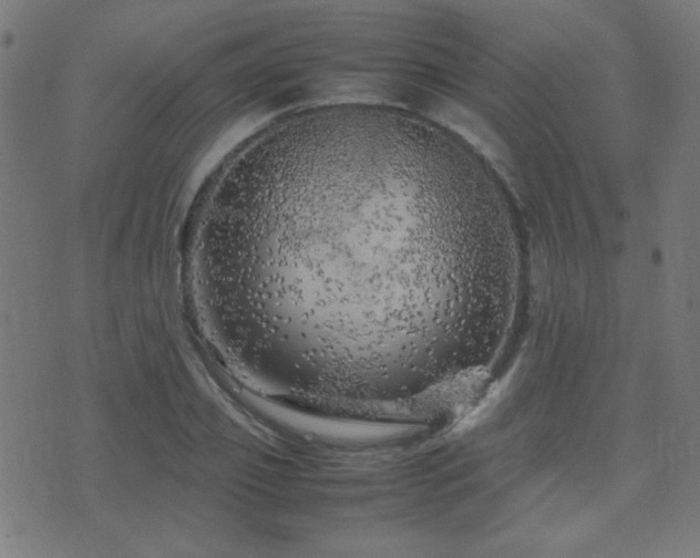 X0000075380933200609081201