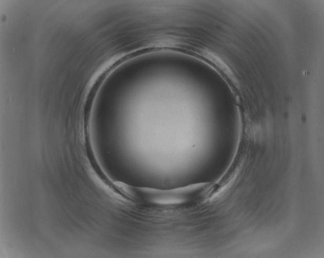 X0000075380939200609081201