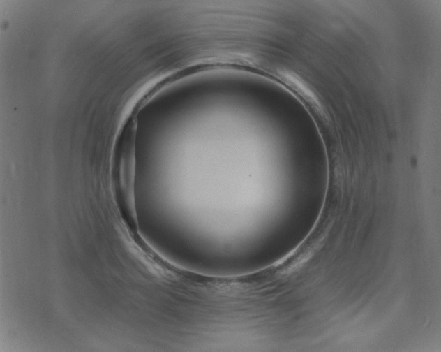 X0000075380940200609081201