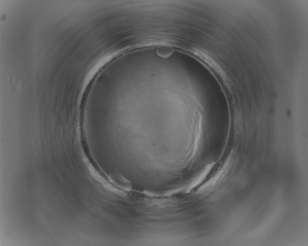 X0000075380941200609081201