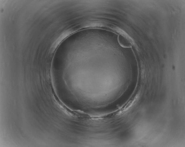 X0000075380945200609081201