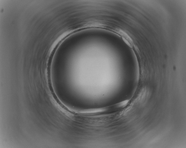 X0000075380947200609081201