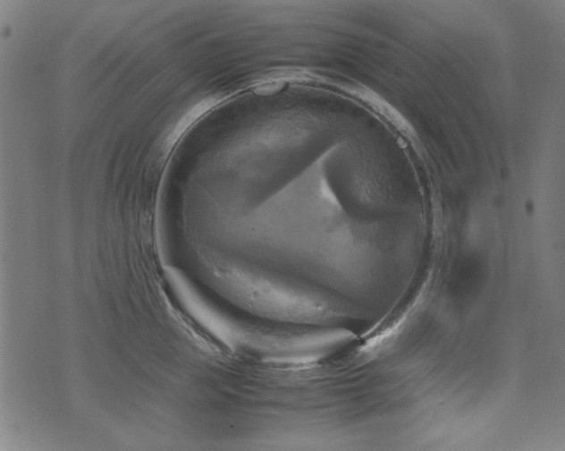 X0000075380953200609081201