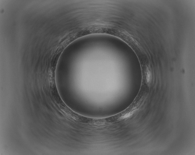X0000075380964200609081201