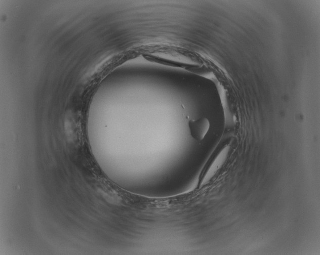 X0000075380968200609081200