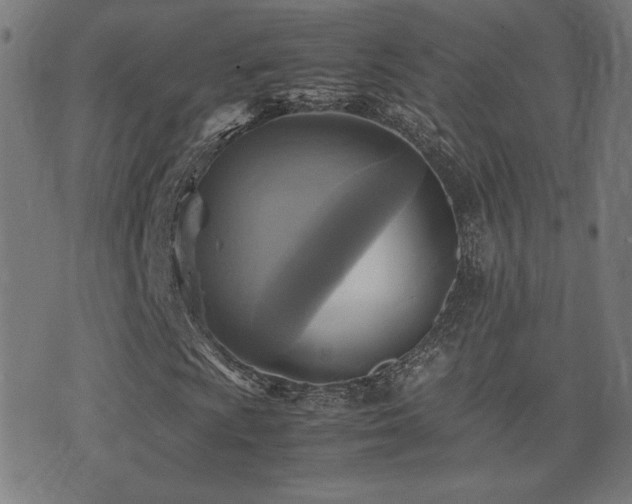 X0000075381009200609081159