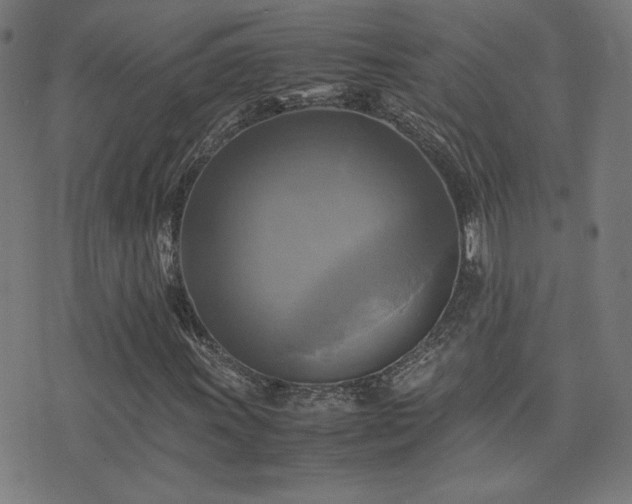X0000075381011200609081159