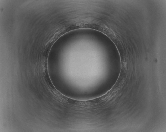 X0000075381012200609081159