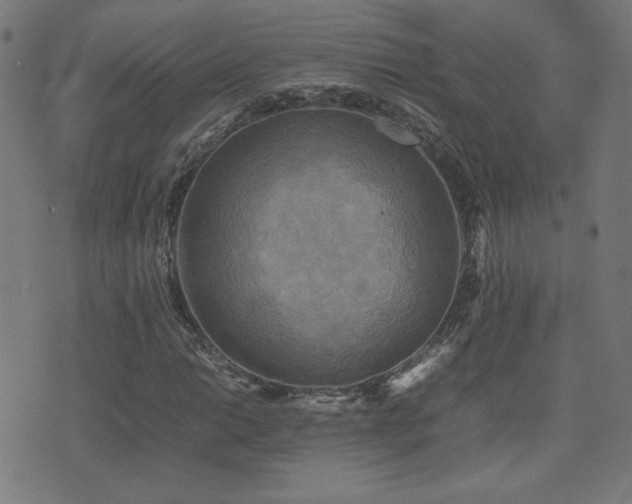 X0000075381014200609081159