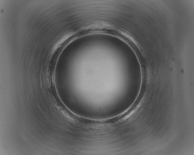 X0000075381018200609081159