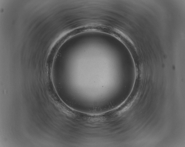 X0000075381021200609081159