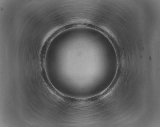X0000075381022200609081159