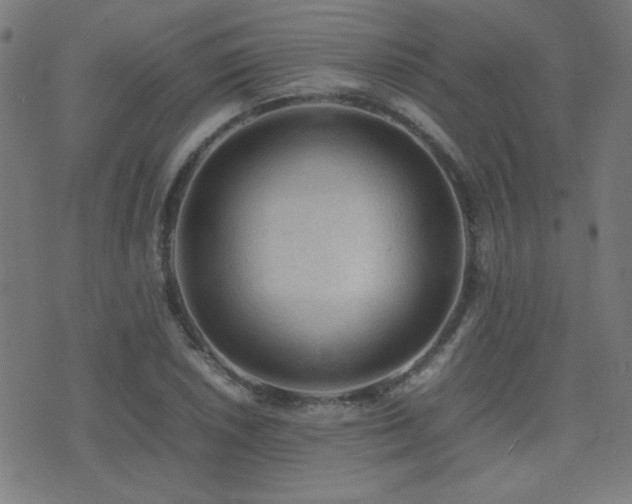 X0000075381026200609081159