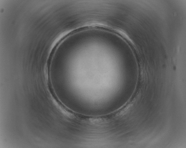 X0000075381032200609081159