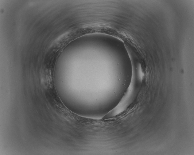 X0000075381062200609081159