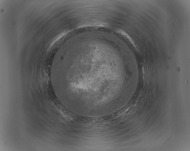 X0000075381064200609081159