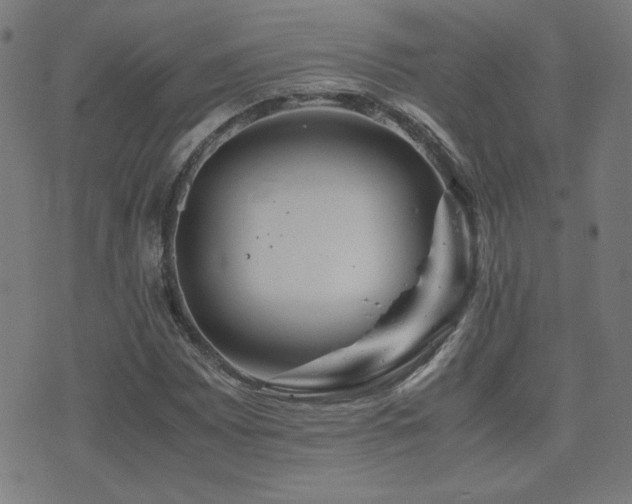 X0000075381065200609081159