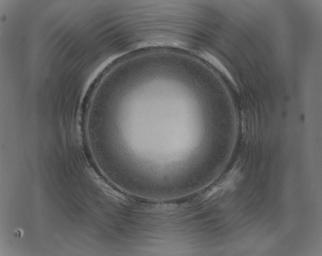 X0000075381068200609081159