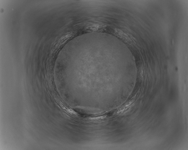 X0000075381105200609081157