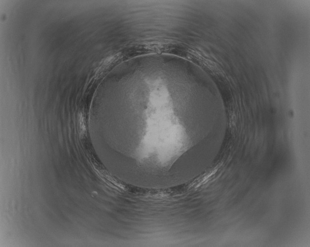 X0000075381106200609081157