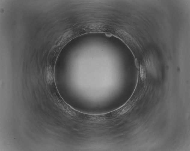 X0000075381107200609081157
