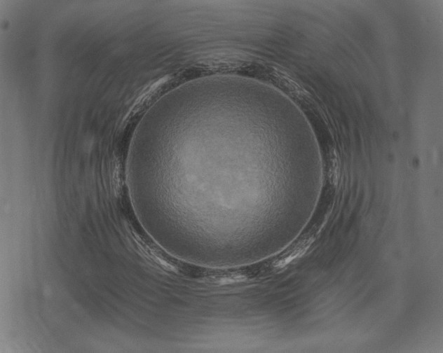 X0000075381108200609081157