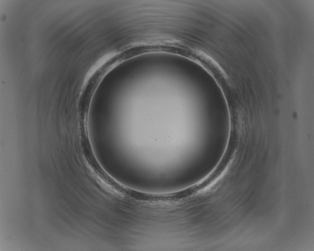 X0000075381114200609081158