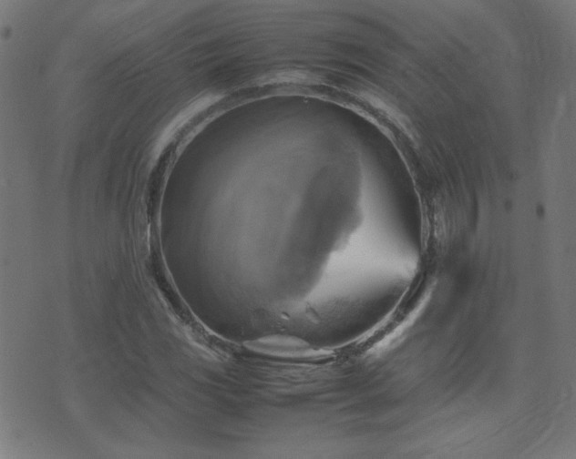 X0000075381117200609081158