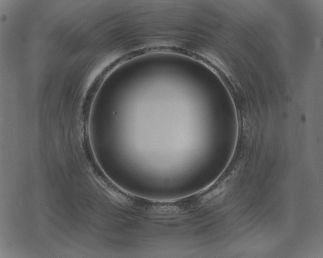 X0000075381119200609081158