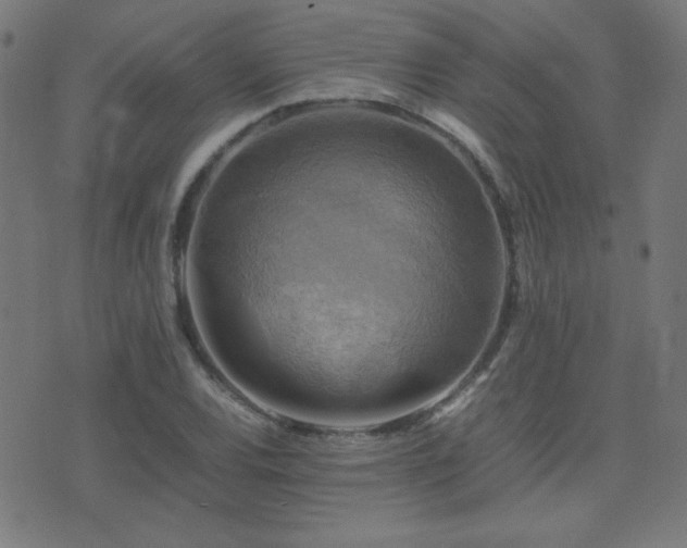 X0000075381120200609081158