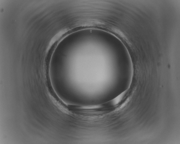 X0000075381122200609081158