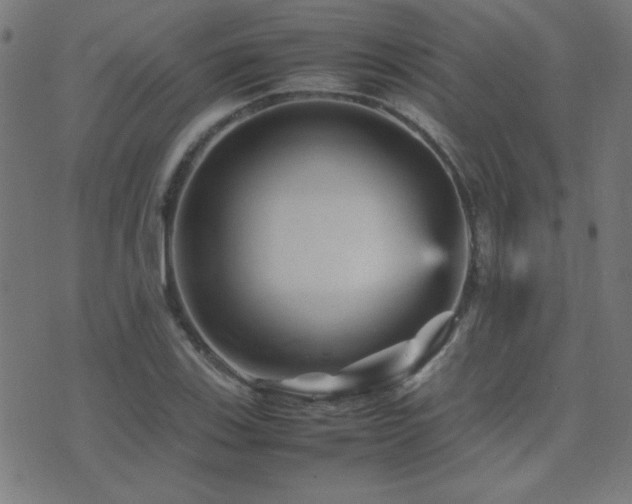 X0000075381123200609081158
